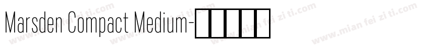 Marsden Compact Medium字体转换